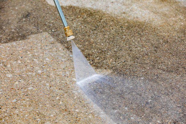 Animal Enclosure Cleaning in Marion, MS